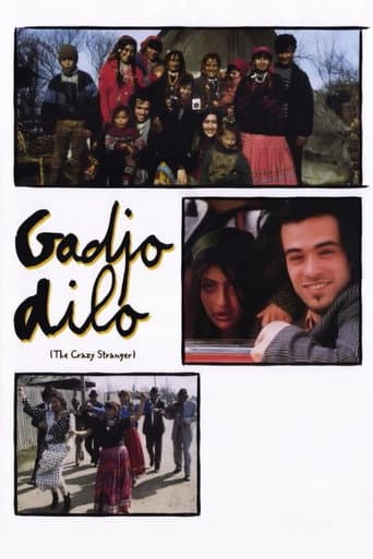 Gadjo Dilo (1998) movie poster