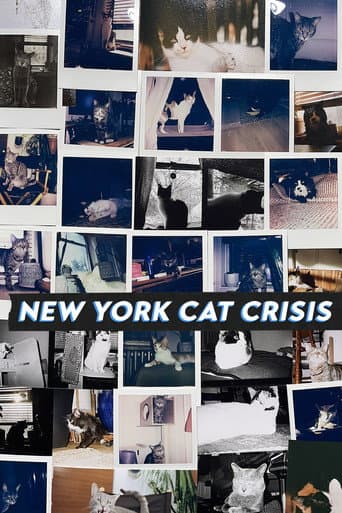ملصق فيلم New York Cat Crisis