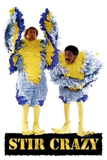 Affiche du film Stir Crazy (1980)