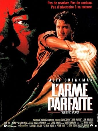 Affiche du film The Perfect Weapon (1991)