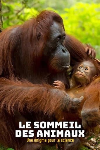Affiche du film Tierisch müde - Das Rätsel Schlaf (2022)