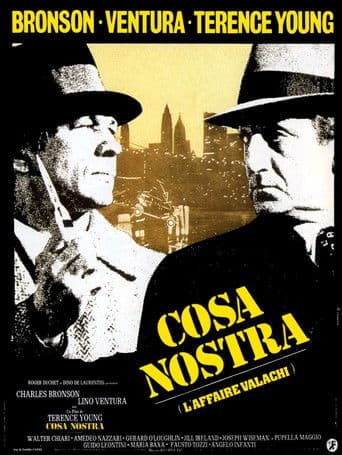 Affiche du film The Valachi Papers (1972)