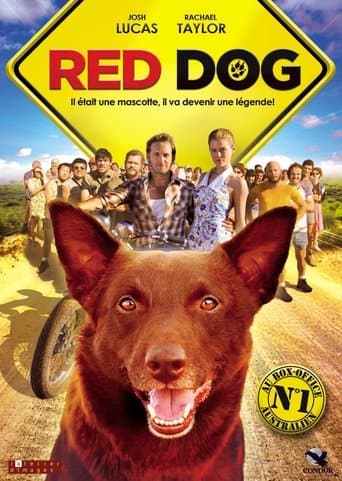 Affiche du film Red Dog (2011)