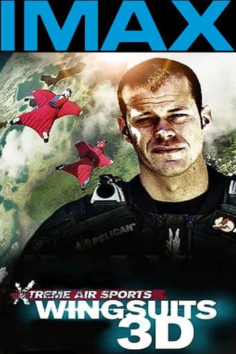 ملصق فيلم Wingsuit Warrior (2013)