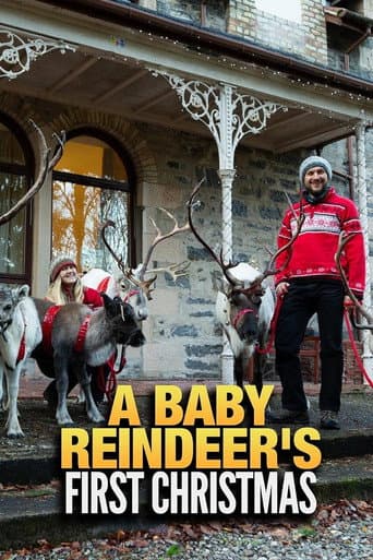 Affiche du film A Baby Reindeer's First Christmas (2020)