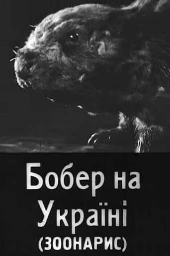Affiche du film Бобер на Україні (1931)
