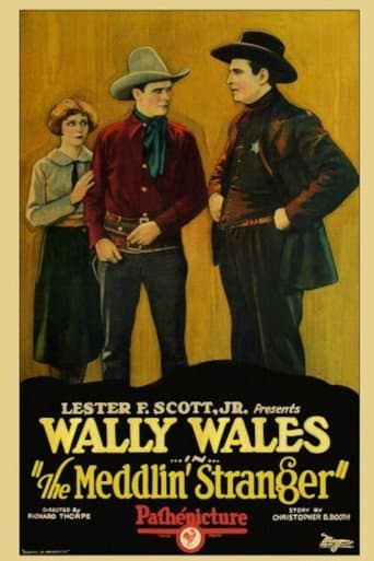 Affiche du film The Meddlin' Stranger (1927)