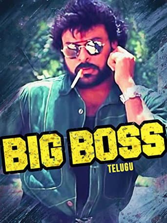 Affiche du film Big Boss (1995)