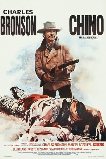 Affiche du film Valdez, il mezzosangue (1973)
