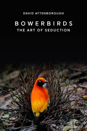 Bowerbirds: The Art of Seduction (2000) movie poster
