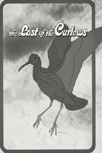 The Last of the Curlews (1972) movie poster