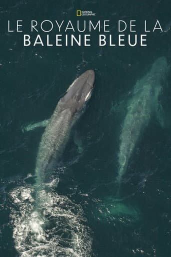 Affiche du film Kingdom of the Blue Whale (2009)