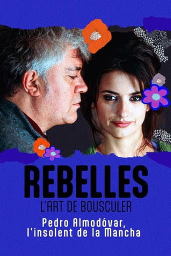 Affiche du film Almodóvar, l'insolent de la Mancha (2023)
