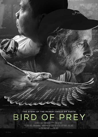 Bird of Prey (2018) movie poster