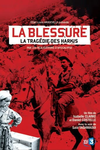 Affiche du film La Blessure, la tragédie des harkis (2010)