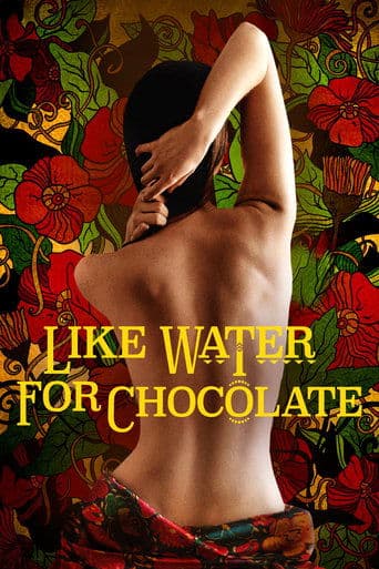 Como agua para chocolate (1992) movie poster