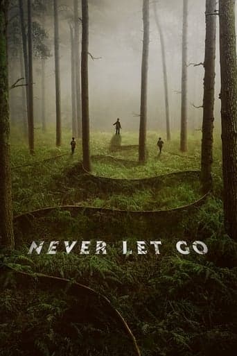 ملصق فيلم Never Let Go (2024)