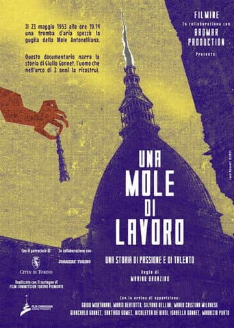 Affiche du film Una Mole di lavoro (2026)