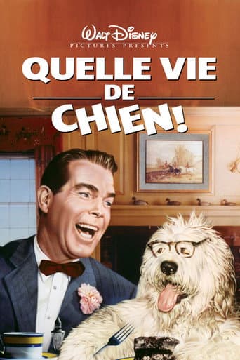 Affiche du film The Shaggy Dog (1959)