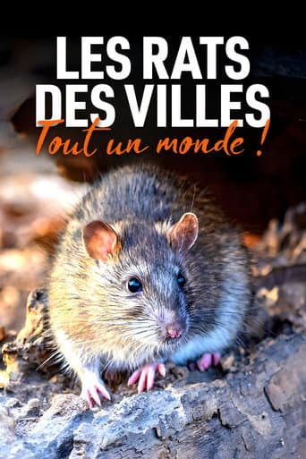 Affiche du film Stadtratten - Unbekannte Parallelwelt (2023)