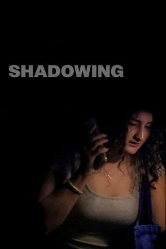 Shadowing (2026) movie poster