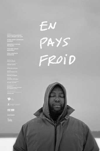 Affiche du film En pays froid (2025)