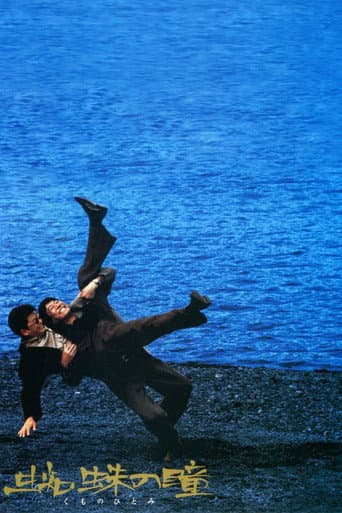 Affiche du film 蜘蛛の瞳 (1998)