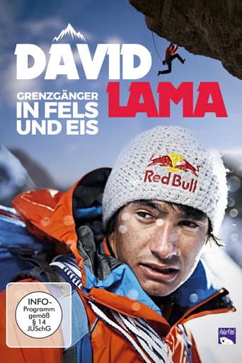Affiche du film David Lama - Das unmögliche möglich machen (2014)