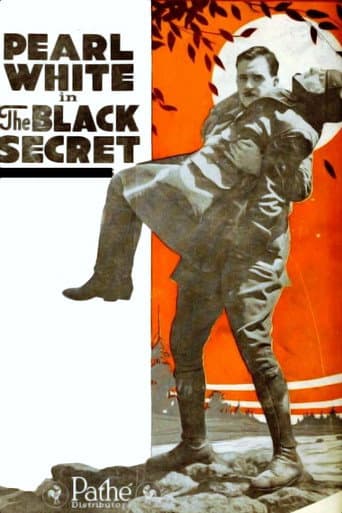 Affiche du film The Black Secret (1919)