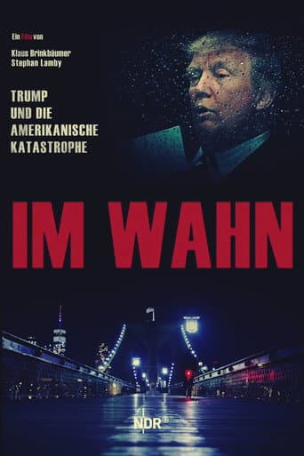 Im Wahn - Trump und die Amerikanische Katastrophe (2020) movie poster