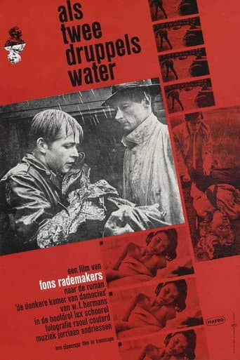 Als twee druppels water (1963) movie poster
