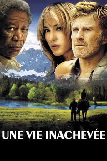 An Unfinished Life