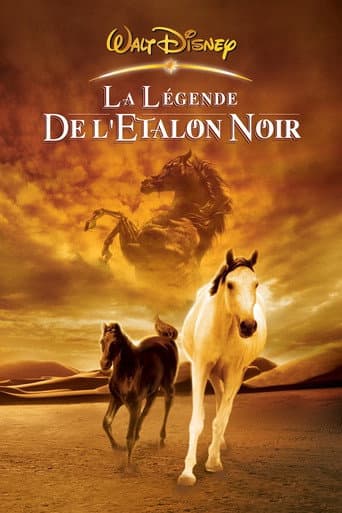 Affiche du film Young Black Stallion (2003)