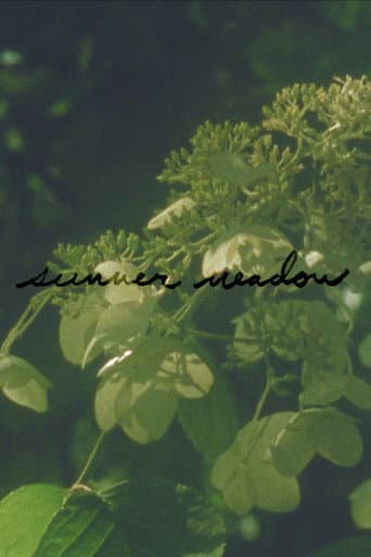 Summer Meadow (2024) movie poster