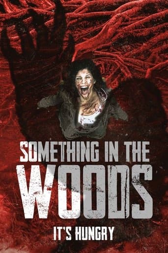 Affiche du film Something in the Woods (2022)
