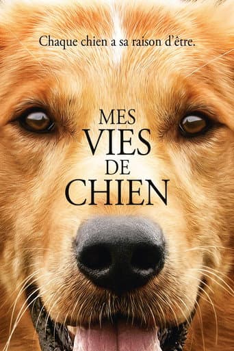 Affiche du film A Dog's Purpose (2017)