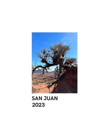 ملصق فيلم San Juan 2023 (2024)