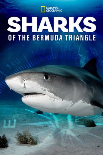 ملصق فيلم Sharks of the Bermuda Triangle (2020)