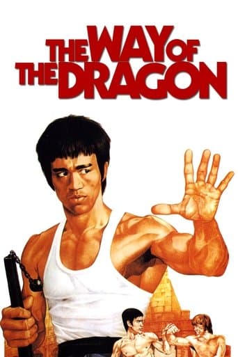 ملصق فيلم 猛龍過江 (1972)