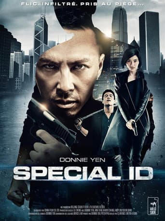 Affiche du film 特殊身份 (2013)