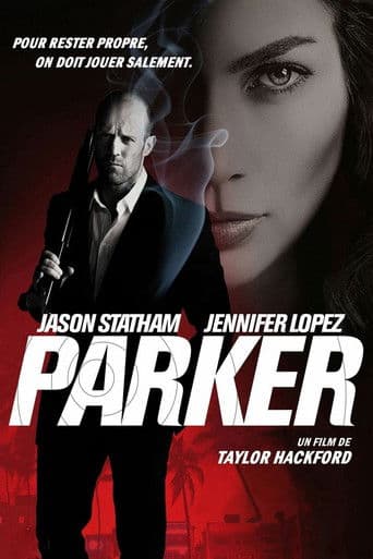 Affiche du film Parker (2013)