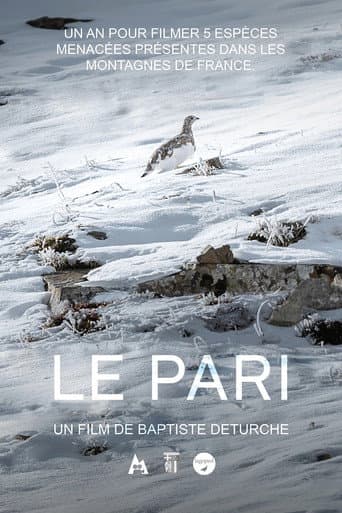 Le pari (2023) movie poster