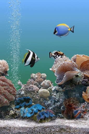 Affiche du film Coral Dreamscapes: An Exotic Aquarium (2000)