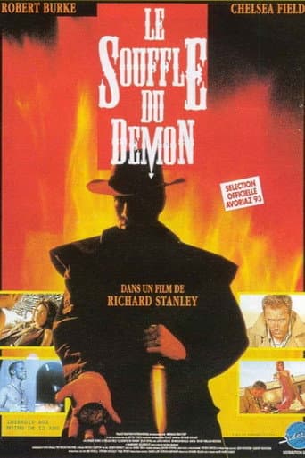 Affiche du film Dust Devil (1992)