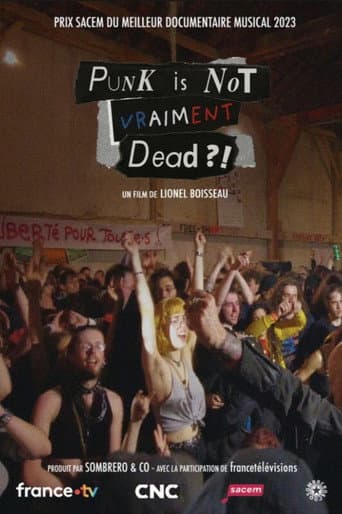 Affiche du film Punk is not vraiment dead ?! (2023)