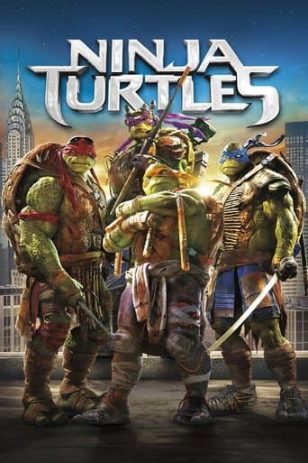 Affiche du film Teenage Mutant Ninja Turtles (2014)
