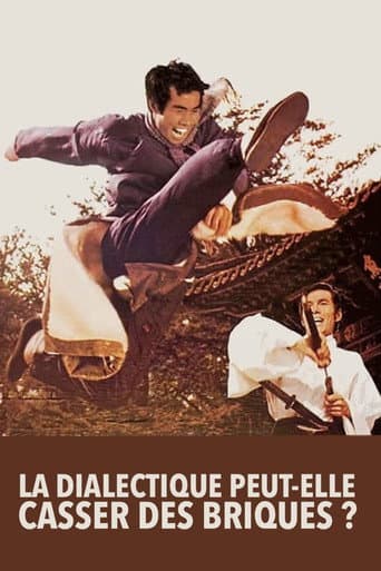 Affiche du film La dialectique peut-elle casser des briques ? (1973)