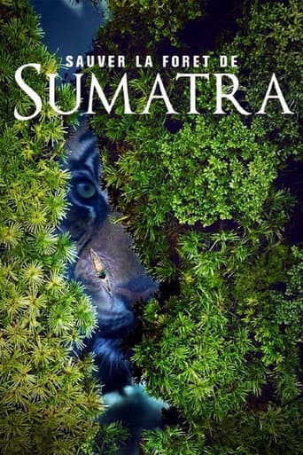 Sauver la forêt de Sumatra (2019) movie poster