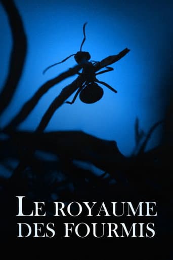 Affiche du film Le Royaume des fourmis (2022)