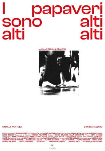 Affiche du film I Papaveri Sono Alti Alti Alti (2024)